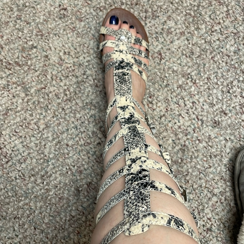 Jeffery Campbell high Roman buckle leather sandals